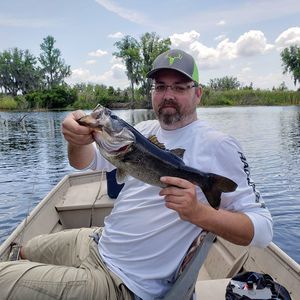 Meet your Posher, Chad